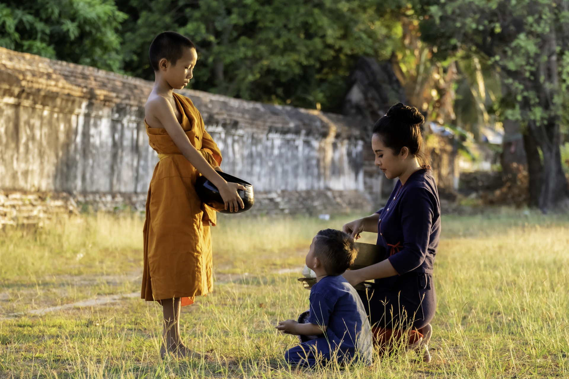 moines juniors, Birmanie