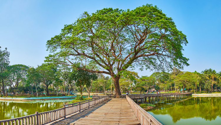 Panorama sur le lac Kandawgyi